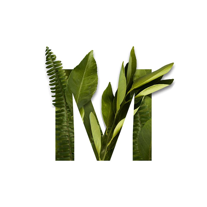 your store's logo